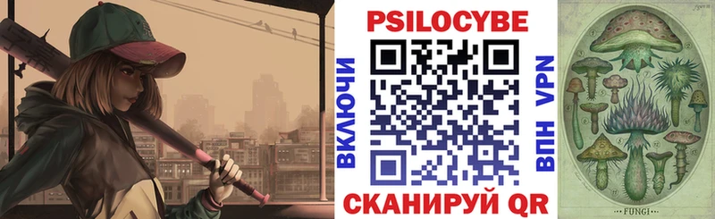 где найти   Ильский  Псилоцибиновые грибы Psilocybine cubensis 